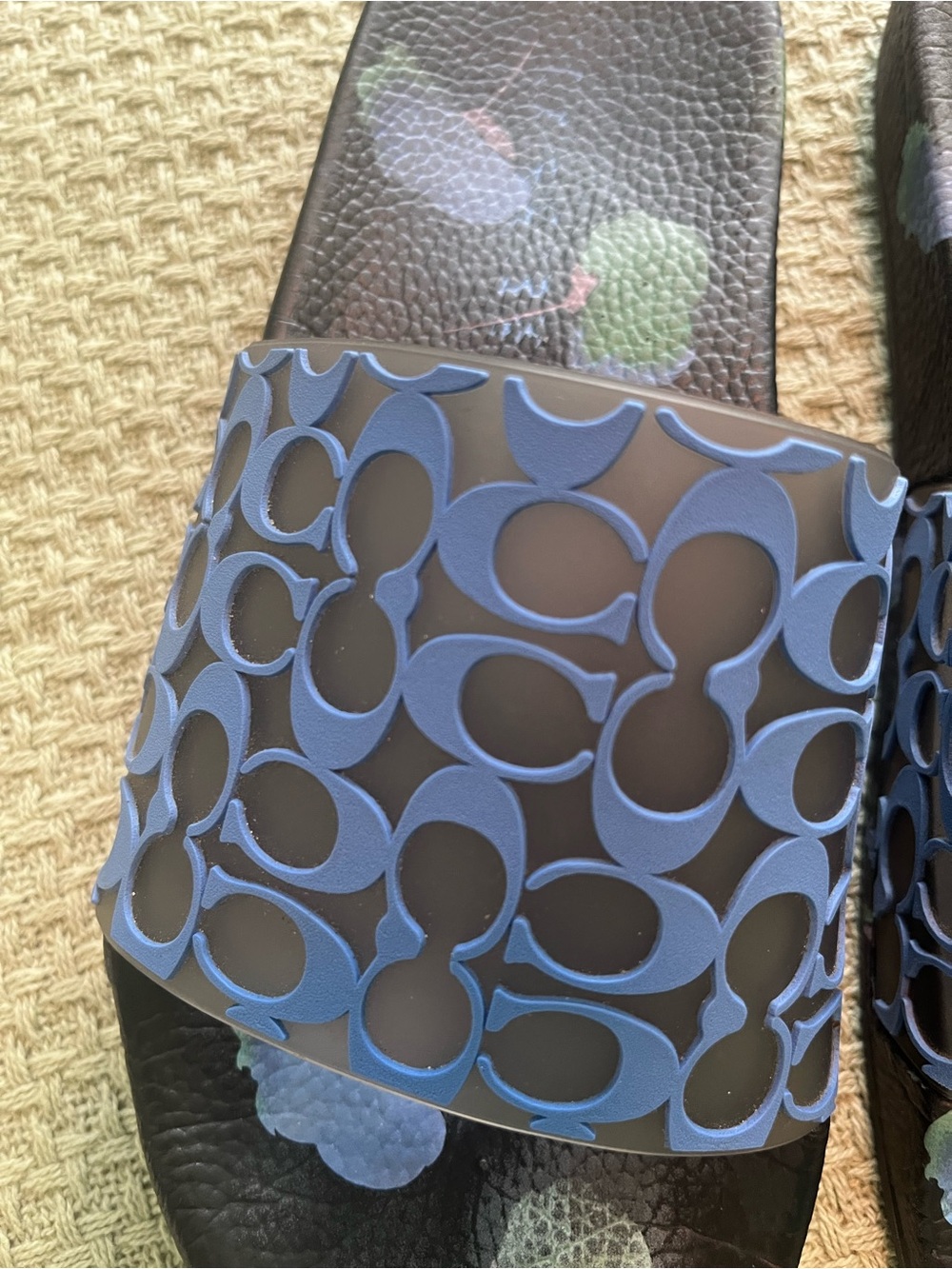 Coach Black Slides with Blue Logo Strap - Picture 3 of 6